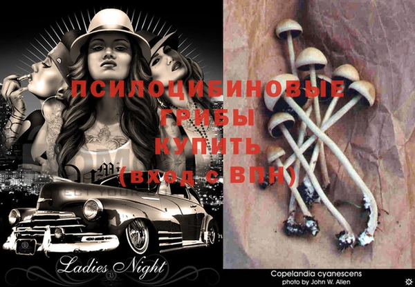 марихуана Вязники