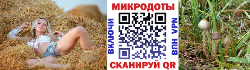 Псилоцибиновые грибы MAGIC MUSHROOMS  Монино 